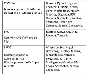 Microsoft Word - IRIS Accord Afrique - Juin 2015.doc